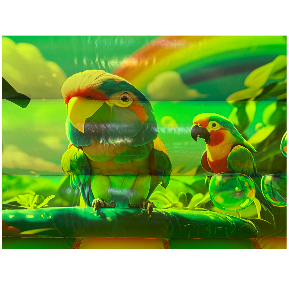 Combo Midi 2 Slides Parrot Inflatable