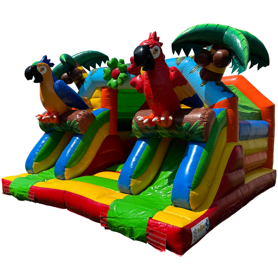 Combo Midi 2 Slides Parrot Inflatable