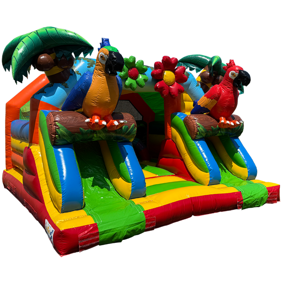 Combo Midi 2 Slides Parrot Inflatable