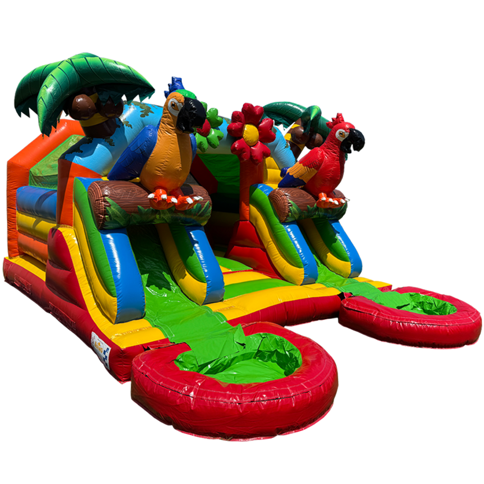Combo Midi 2 Slides Parrot Inflatable