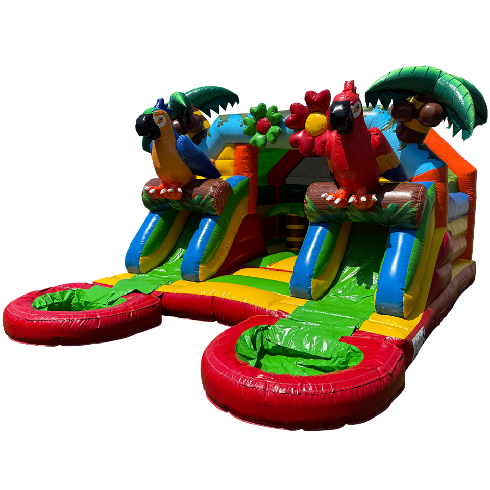 Combo Midi 2 Slides Parrot Inflatable