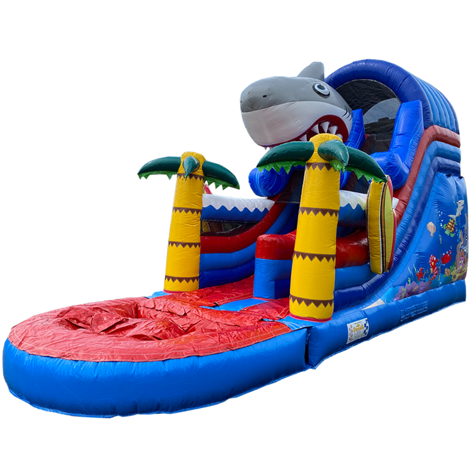 Small Slide Shark