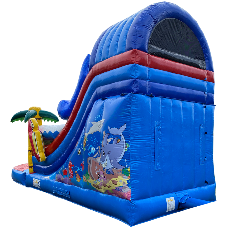 Small Slide Shark