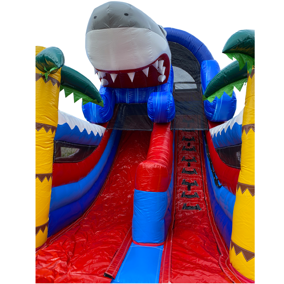 Small Slide Shark