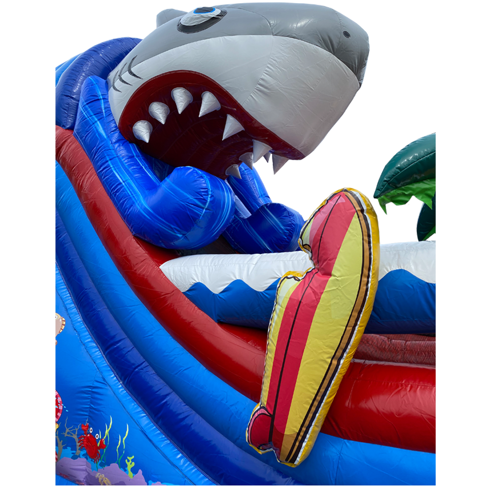 Small Slide Shark